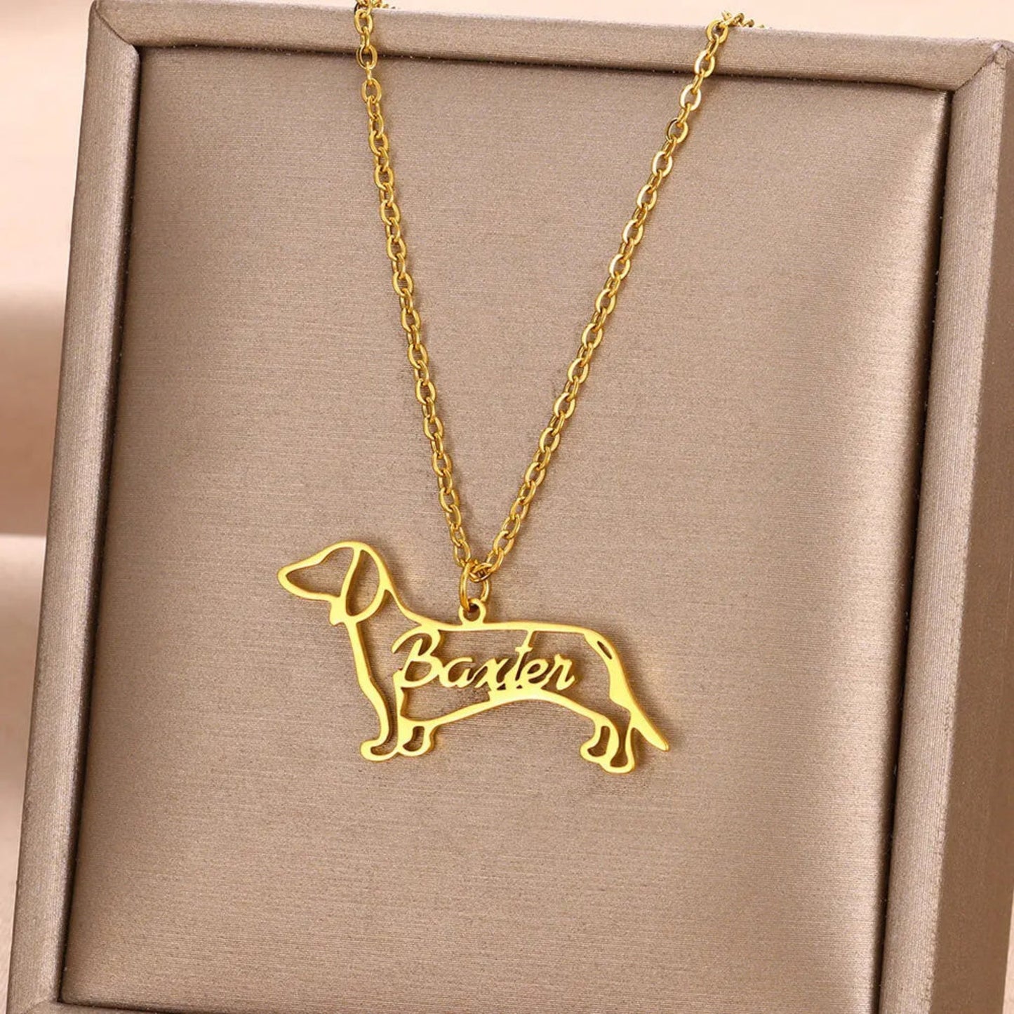 Personalized pet name pendant necklace, custom jewelry piece featuring your pet's name for a meaningful and stylish accessory