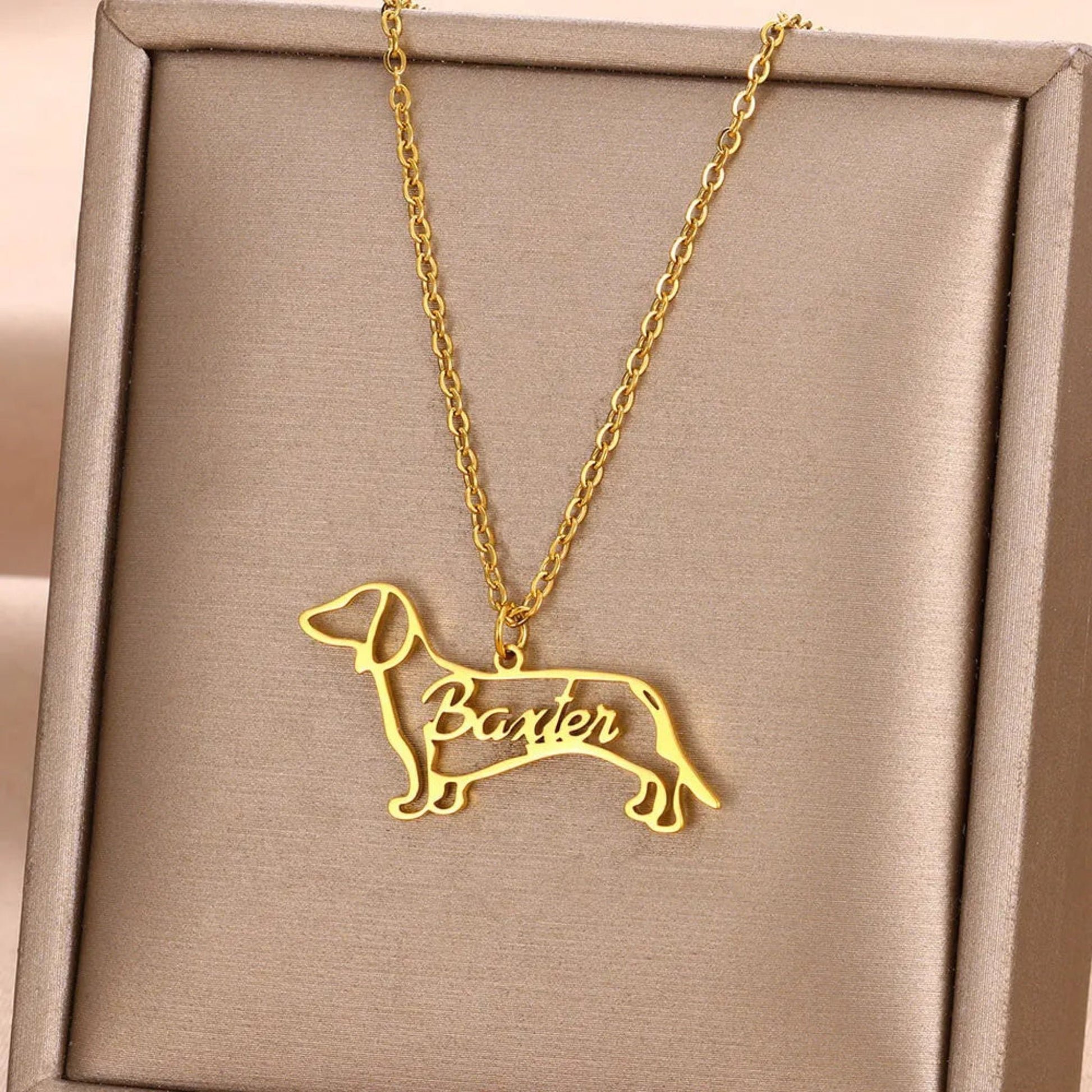 Personalized pet name pendant necklace, custom jewelry piece featuring your pet's name for a meaningful and stylish accessory