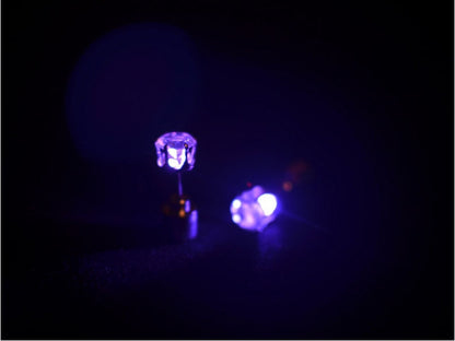 LED Crown Earrings